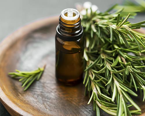 Boost your Memory with Rosemary Essential Oil
