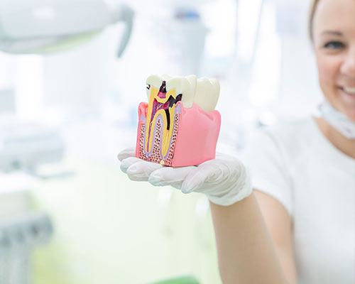Holistic Dentistry with Biological Root Canals